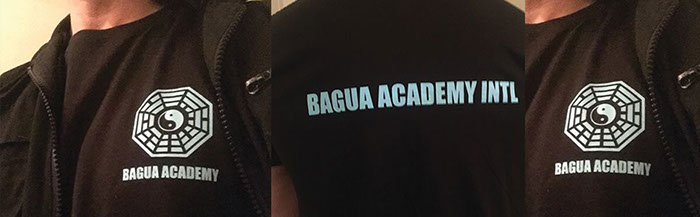 Photograph of a figure wearing the Bagua Academy Uniform and t-shirt.